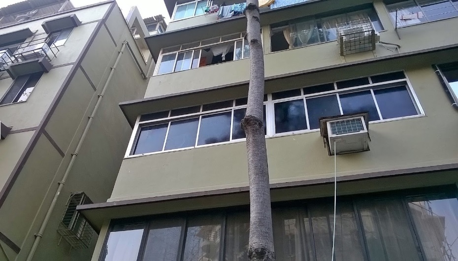 Building - Daulat Shirin, Colaba